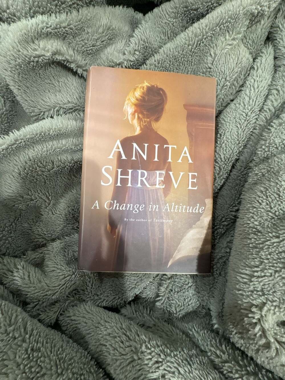 A Change in Altitude by Anita Shreve, Hardcover Edition